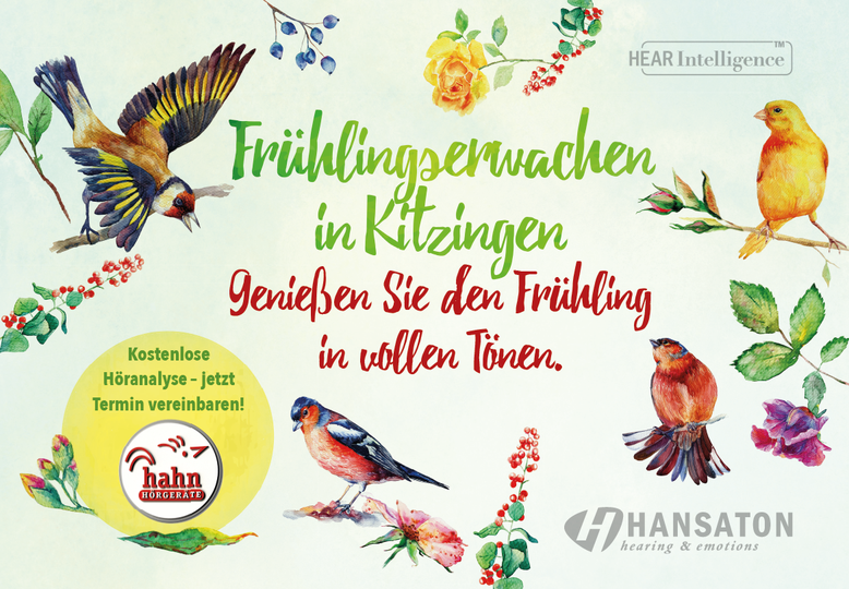 Frühlingserwachen in Kitzingen, Flyer